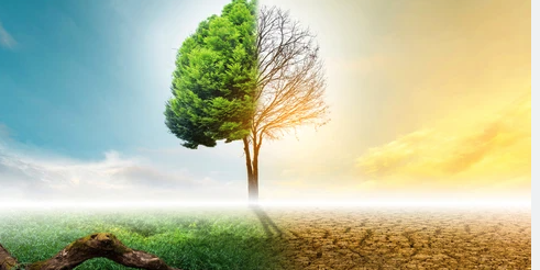 Screenshot 2025-12-18 at 08.16.33